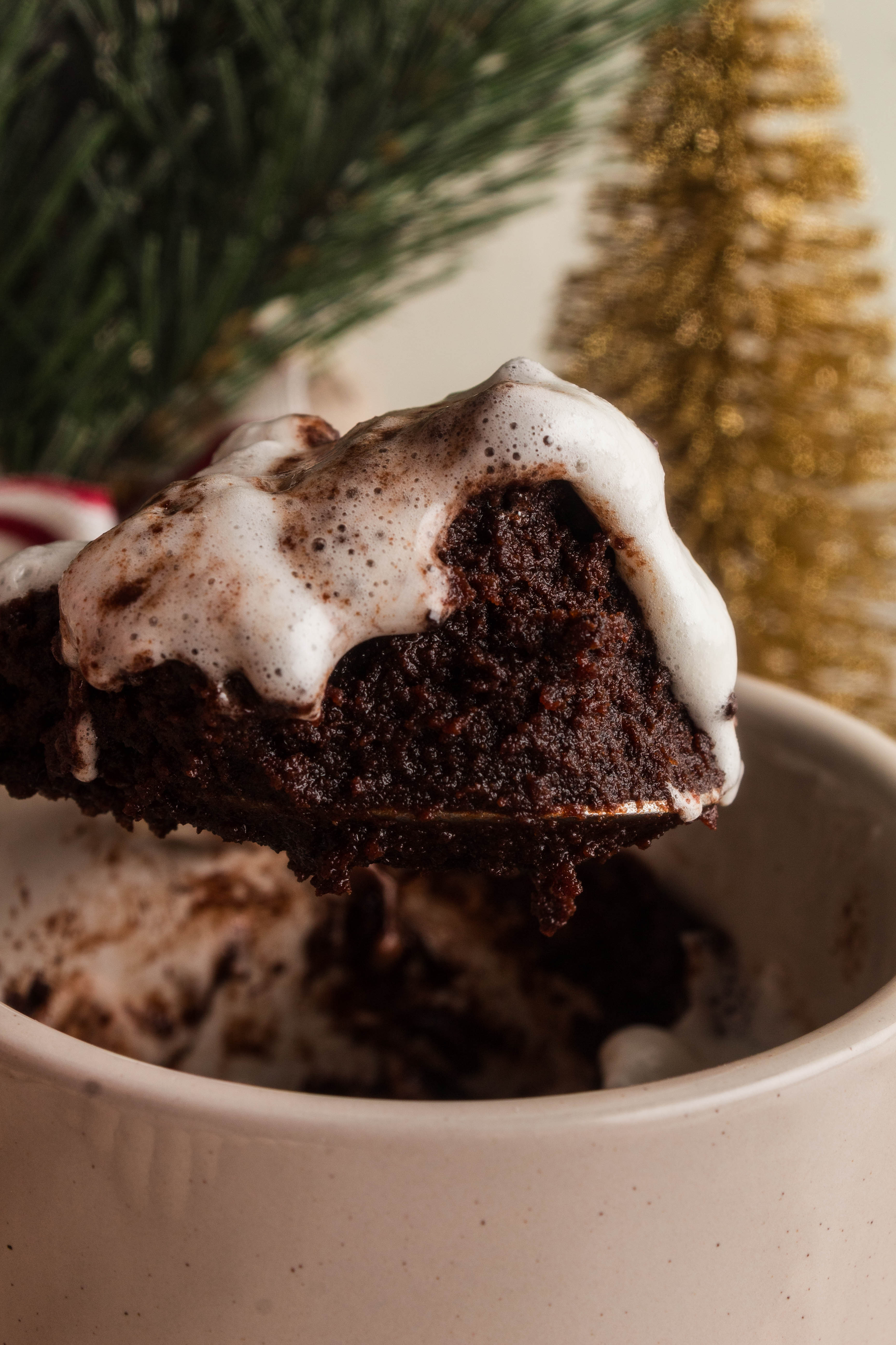Hot Cocoa Mug Cake Mix