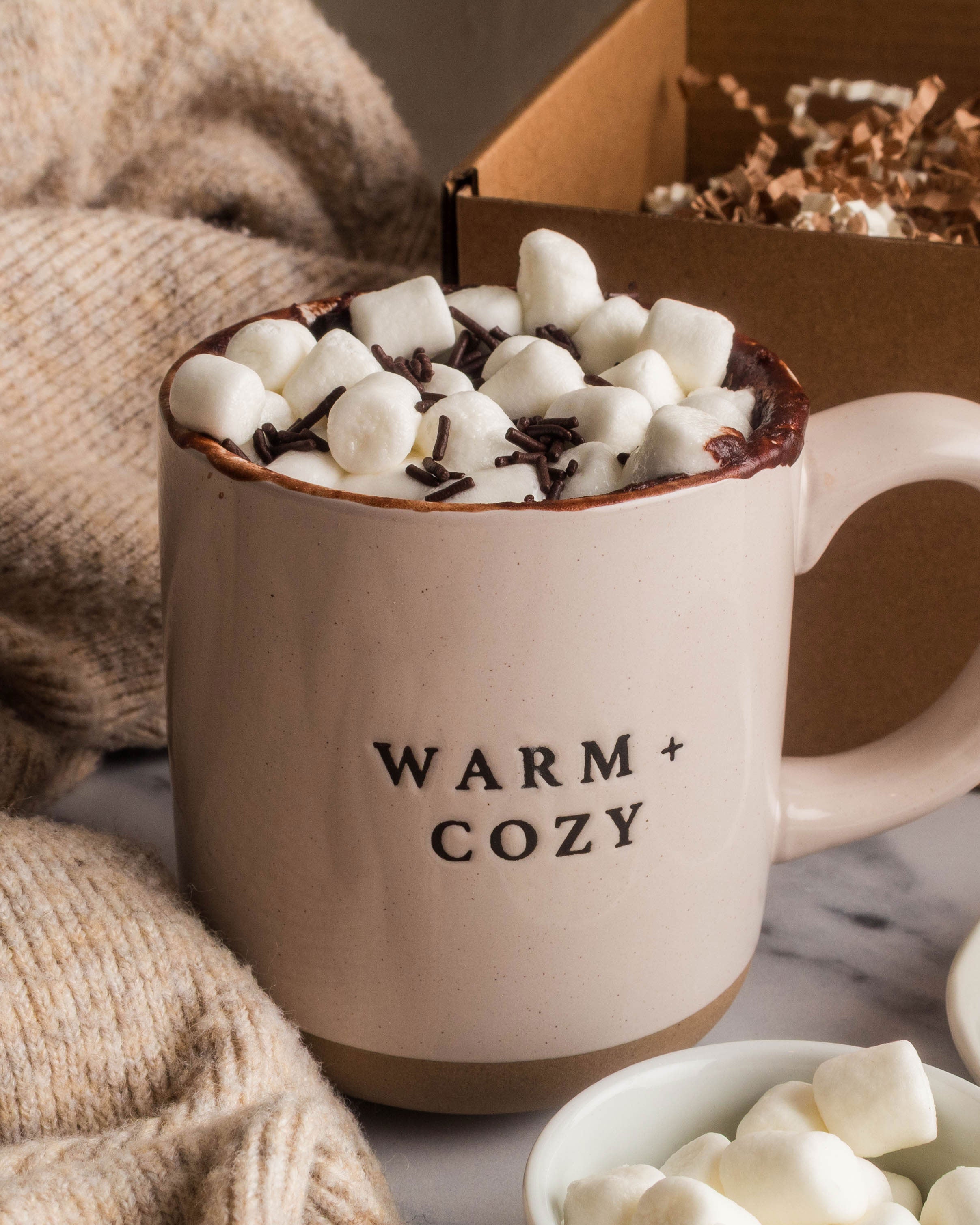Hot Cocoa Mug Cake Mix
