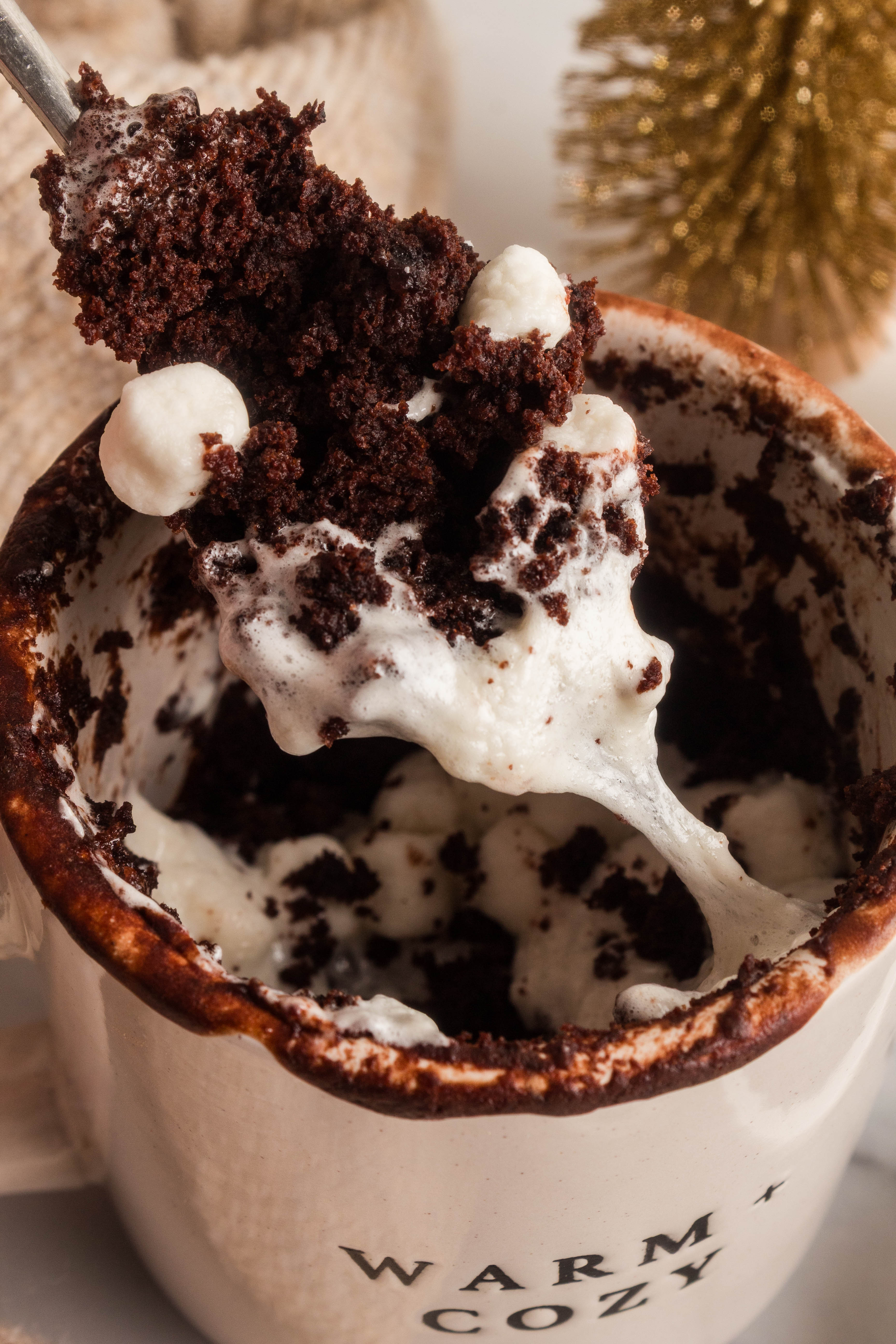 Hot Cocoa Mug Cake Mix